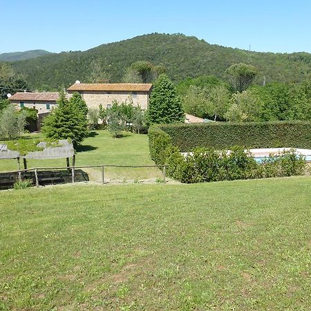 Agriturismo Le Colline Montescudaio Cameră foto