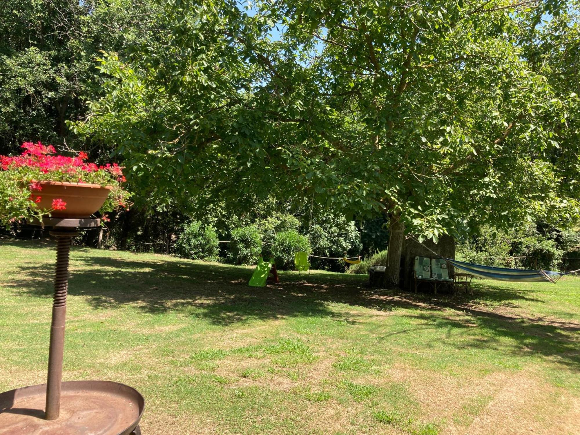 Agriturismo Le Colline Montescudaio Exterior foto